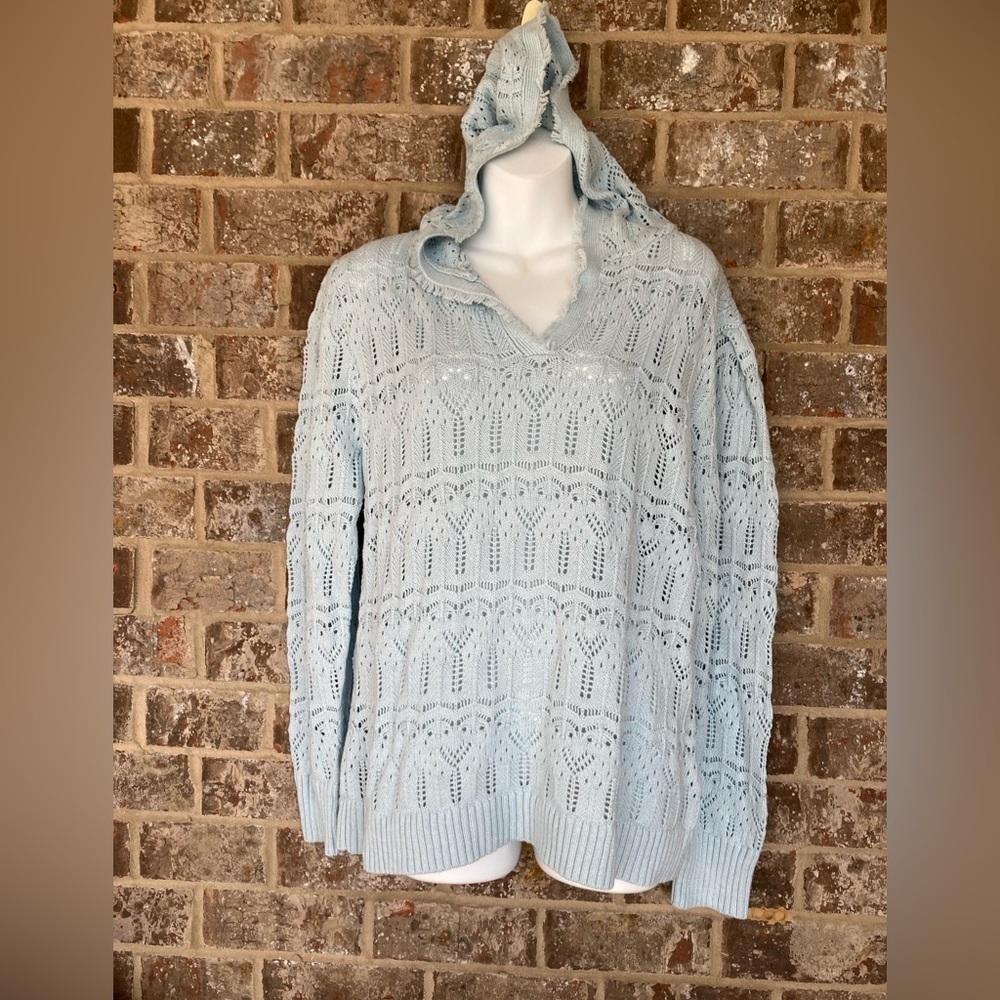 Caryn Vallone Hooded Sweater Size Large NWT Retails for $118